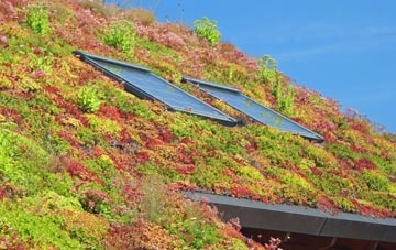 Winteringham living roof systems