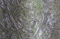 Winteringham fibreglass roof work